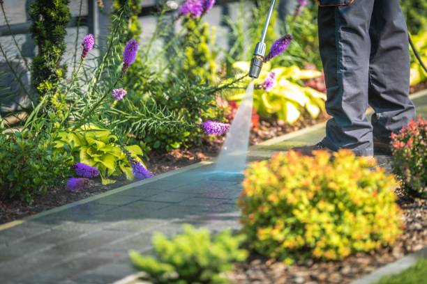 Reliable Dove Valley, CO  Pressure Washing Services Solutions